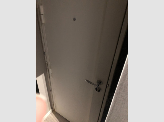 REMPLACEMENT D'UNE PORTE D'ENTREE DANS UN IMMEUBLE PAR UNE PORTE BLINDEE DECORS BOIS